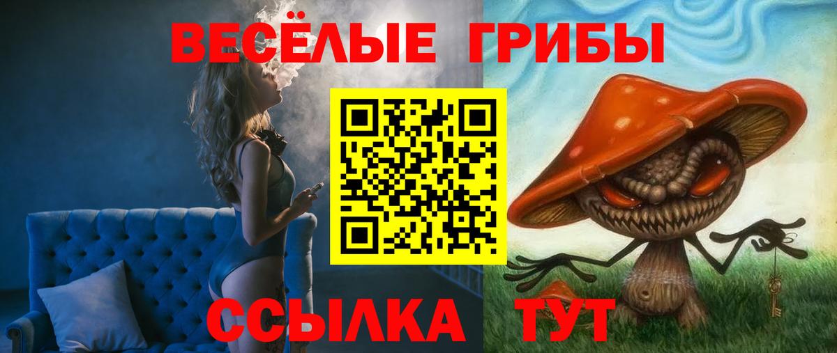 Мценск  Галлюциногенные грибы Magic Shrooms  Галлюциногенные грибы Cubensis  Вход с VPN 